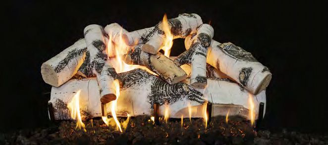 Grand Canyon 2-Burner Quaking Aspen 30 Inch